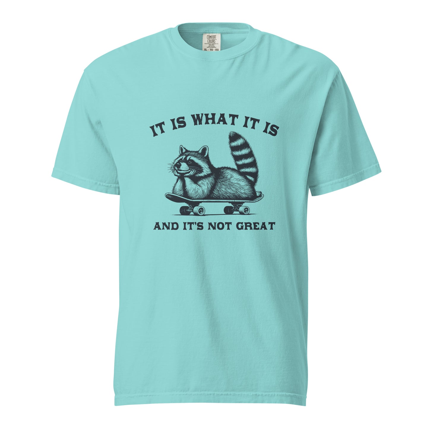 It is what it is...heavyweight t-shirt