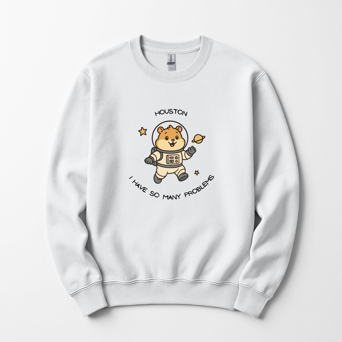 Houston we've got a problem - sweatshirt