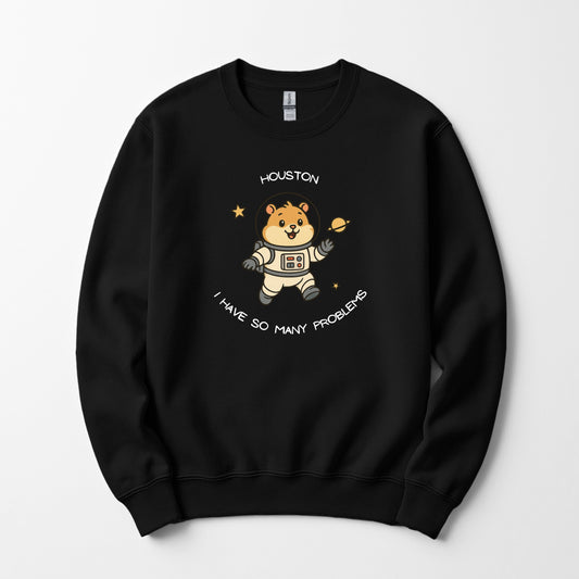Houston we've got a problem - sweatshirt