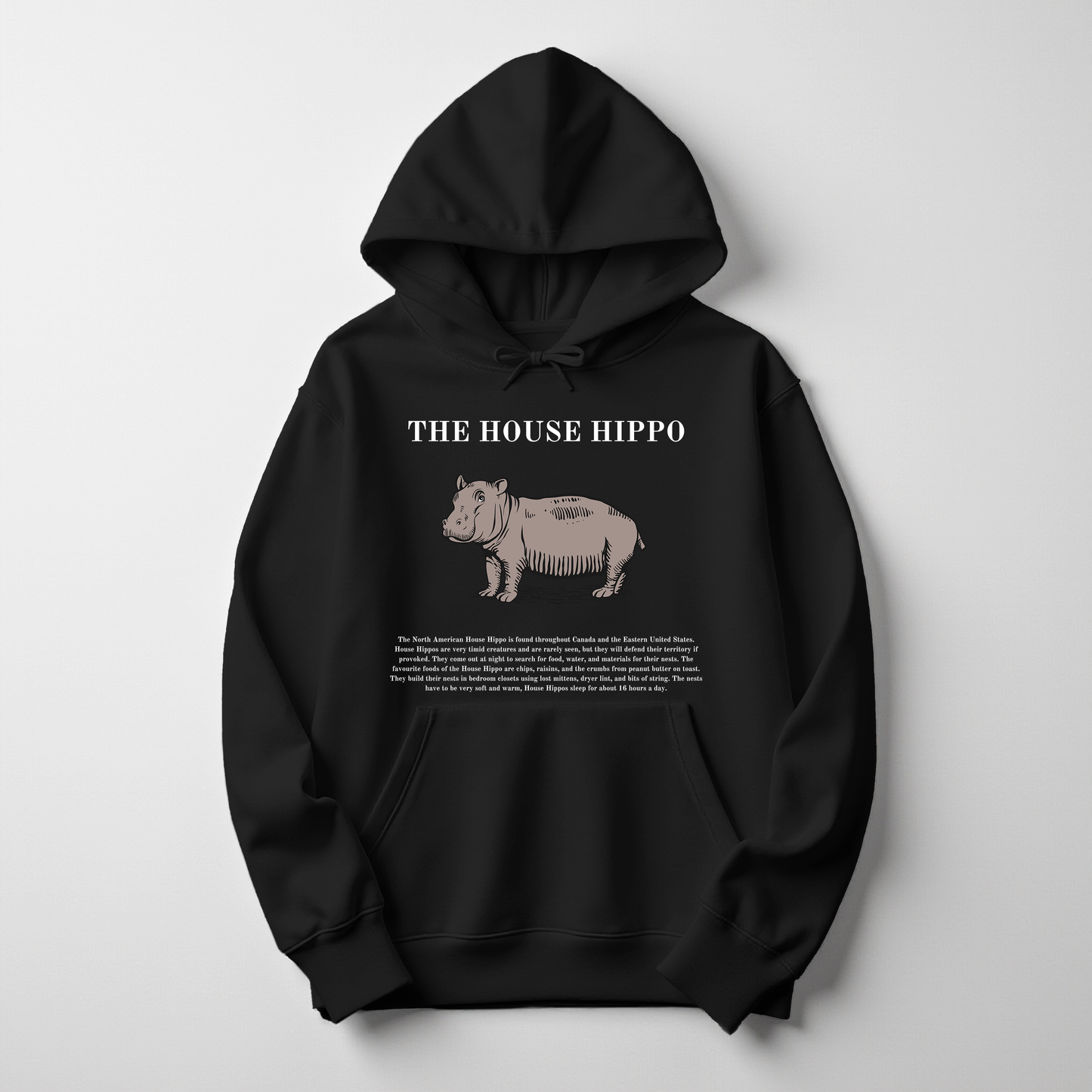 House Hippo Christmas Hoodie