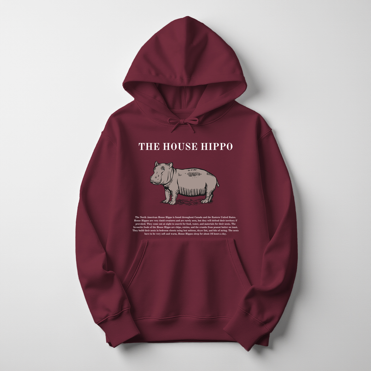 House Hippo Christmas Hoodie