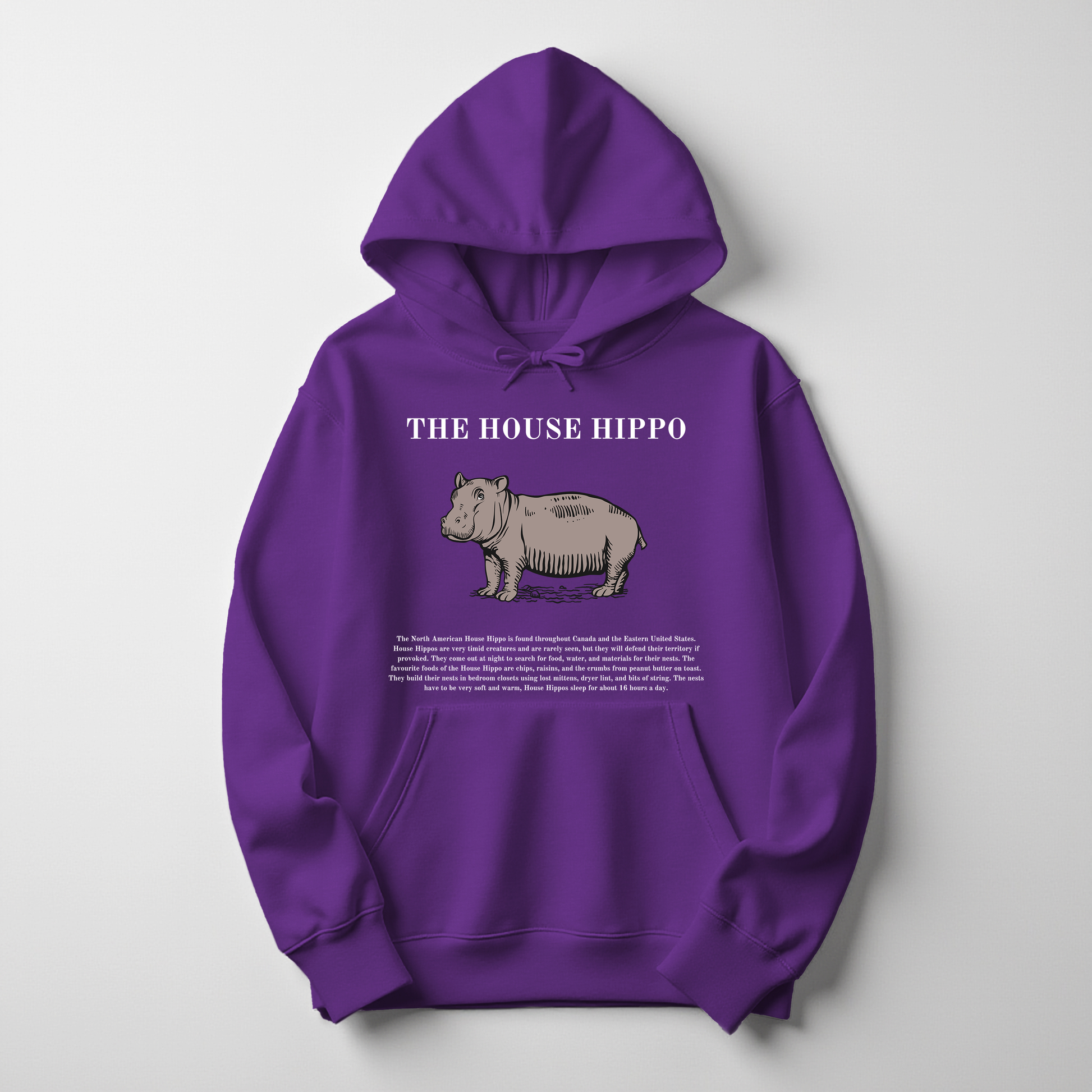 House Hippo Christmas Hoodie