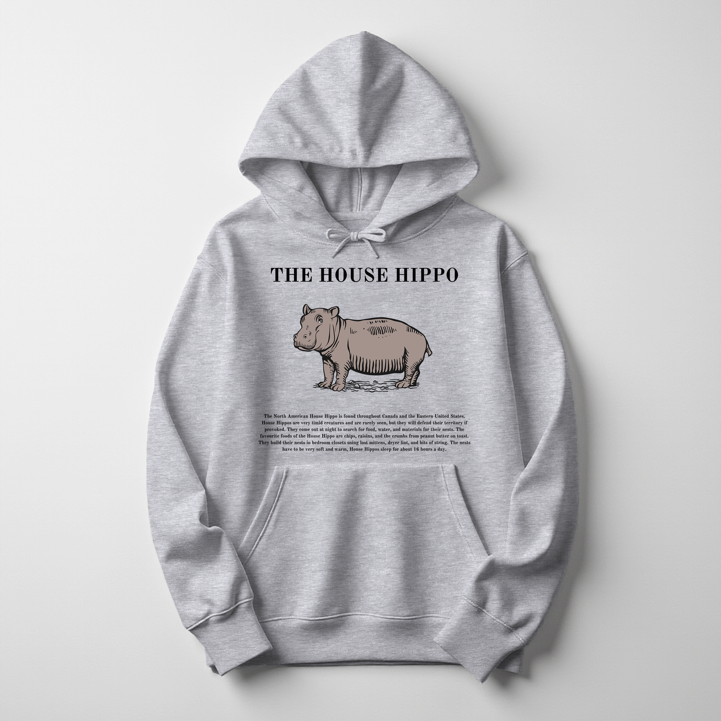 House Hippo Christmas Hoodie