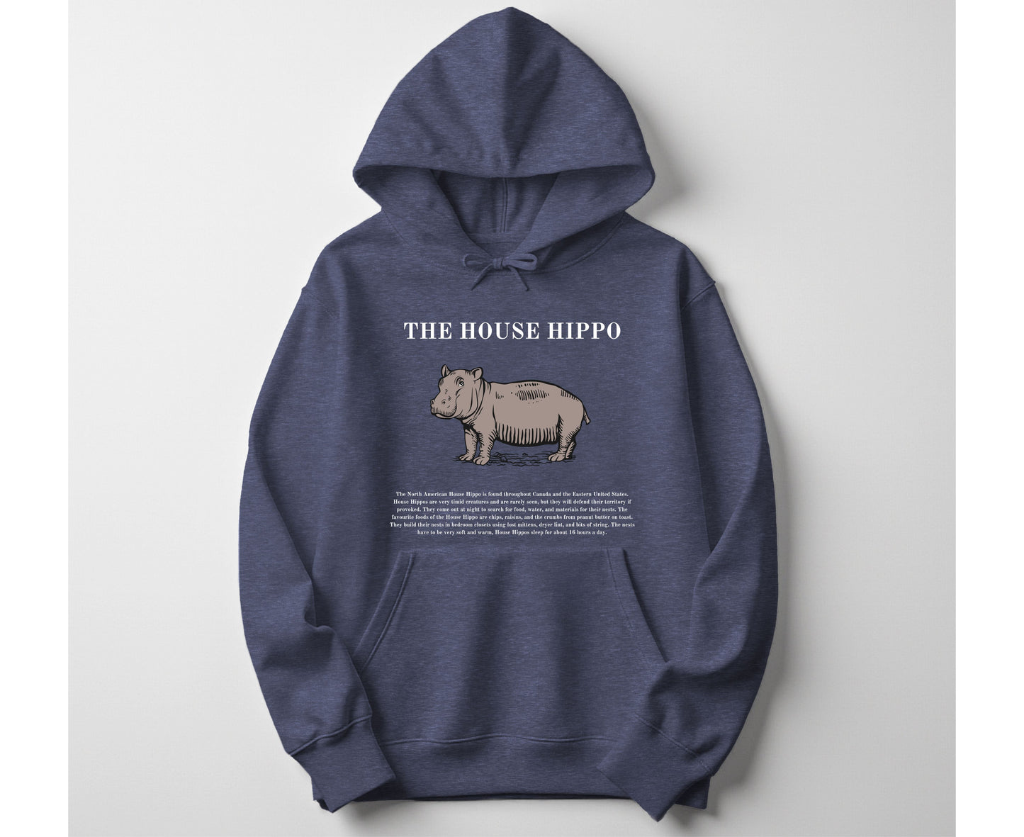 House Hippo Christmas Hoodie