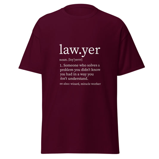 Lawyer {noun}