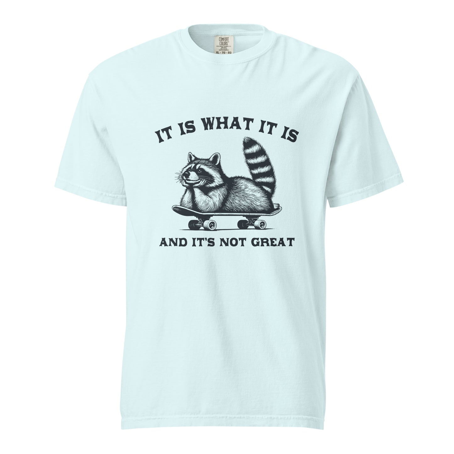 It is what it is...heavyweight t-shirt