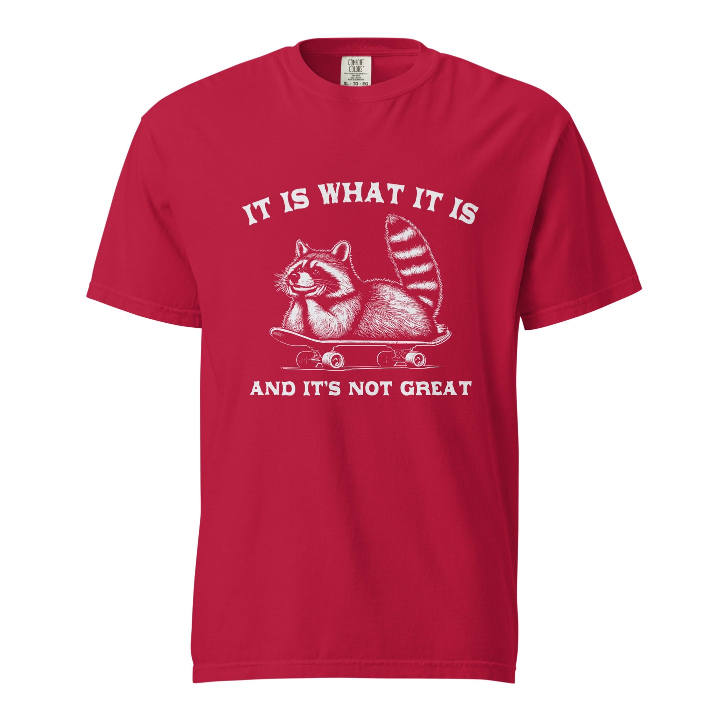 It is what it is...heavyweight t-shirt