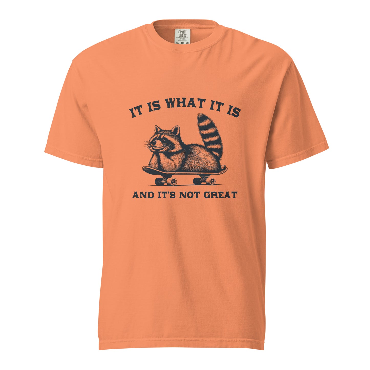 It is what it is...heavyweight t-shirt